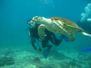 1311507392_IMG_1245