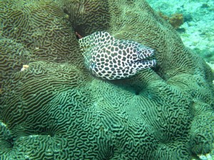 1311507392_IMG_1258 