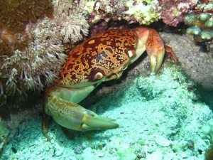 1311507393_IMG_1295 