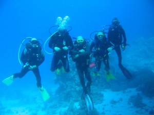 1172430317_divers 8