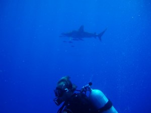 1172430676_squalo + enzo