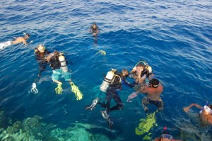 1182283360_in acqua
