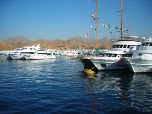 1245059072_ma quante sono