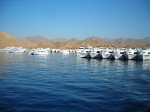 1245059104_noi partiamo prima