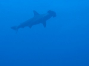 1243017362_Viaggio Sudan 2009 007