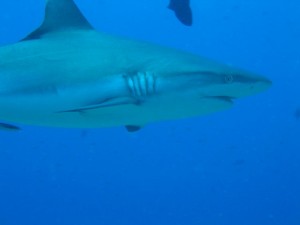 1243017378_Viaggio Sudan 2009 039