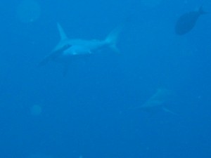 1243017412_Viaggio Sudan 2009 073