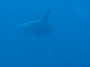 1243017428_Viaggio Sudan 2009 075