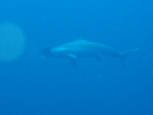 1243017440_Viaggio Sudan 2009 076