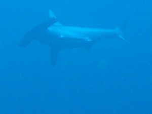 1243017450_Viaggio Sudan 2009 077