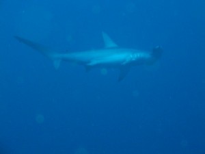 1243017489_Viaggio Sudan 2009 081