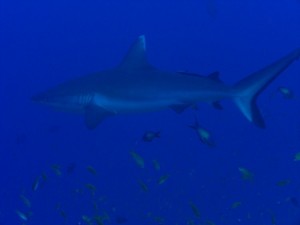 1243017768_Viaggio Sudan 2009 ( Maurizio ) 106