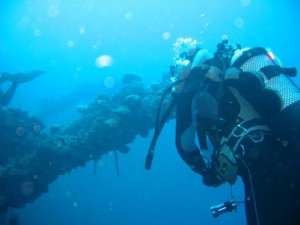 1243185481_Viaggio Sudan 2009 001