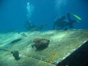 1243185788_Viaggio Sudan 2009 078   