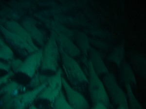 1243185816_Viaggio Sudan 2009 084   