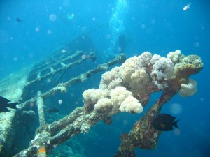 1243185839_Viaggio Sudan 2009 086   