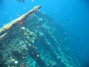 1243185856_Viaggio Sudan 2009 089   