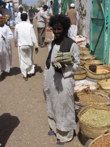 1243186777_Viaggio Sudan 2009 169