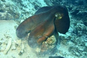 img_0500
