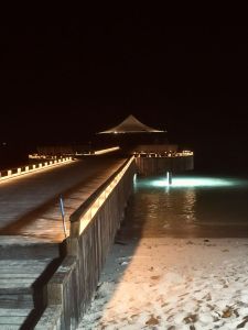 img_0594