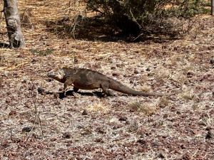 img_3756