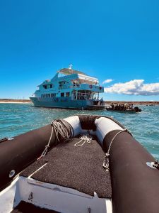 img_3765