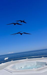 img_3807