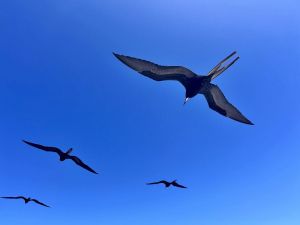 img_3813