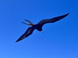 img_3821