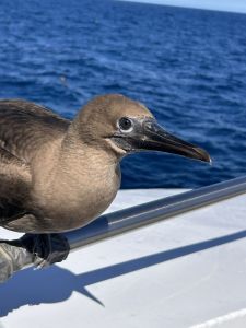 img_3856