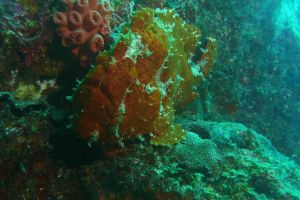 img_4007
