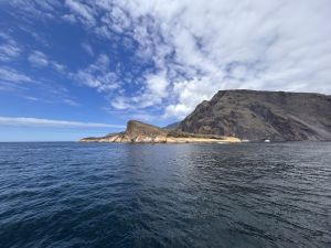 img_4109