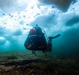 Ice Dive 2020